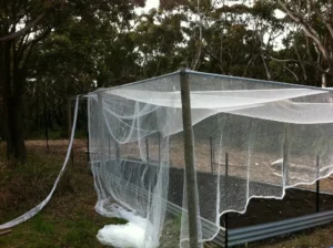 Control of insects and pests in garden by Physical Barriers